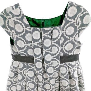 Isobella & Chloe embroidered & pleated overskirt party dress size 4T